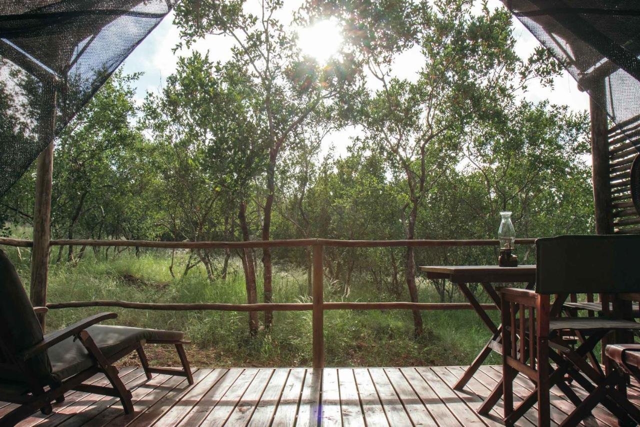 Isambane Camp Villa Balule Game Reserve Bagian luar foto