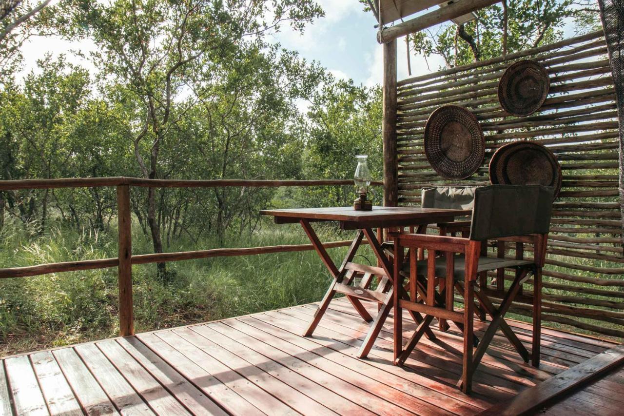 Isambane Camp Villa Balule Game Reserve Bagian luar foto
