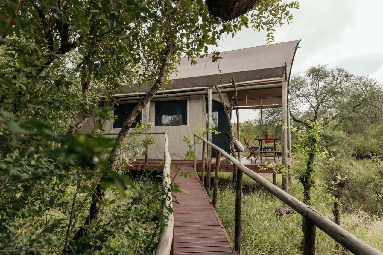Isambane Camp Villa Balule Game Reserve Bagian luar foto