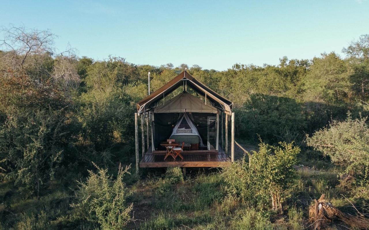 Isambane Camp Villa Balule Game Reserve Bagian luar foto