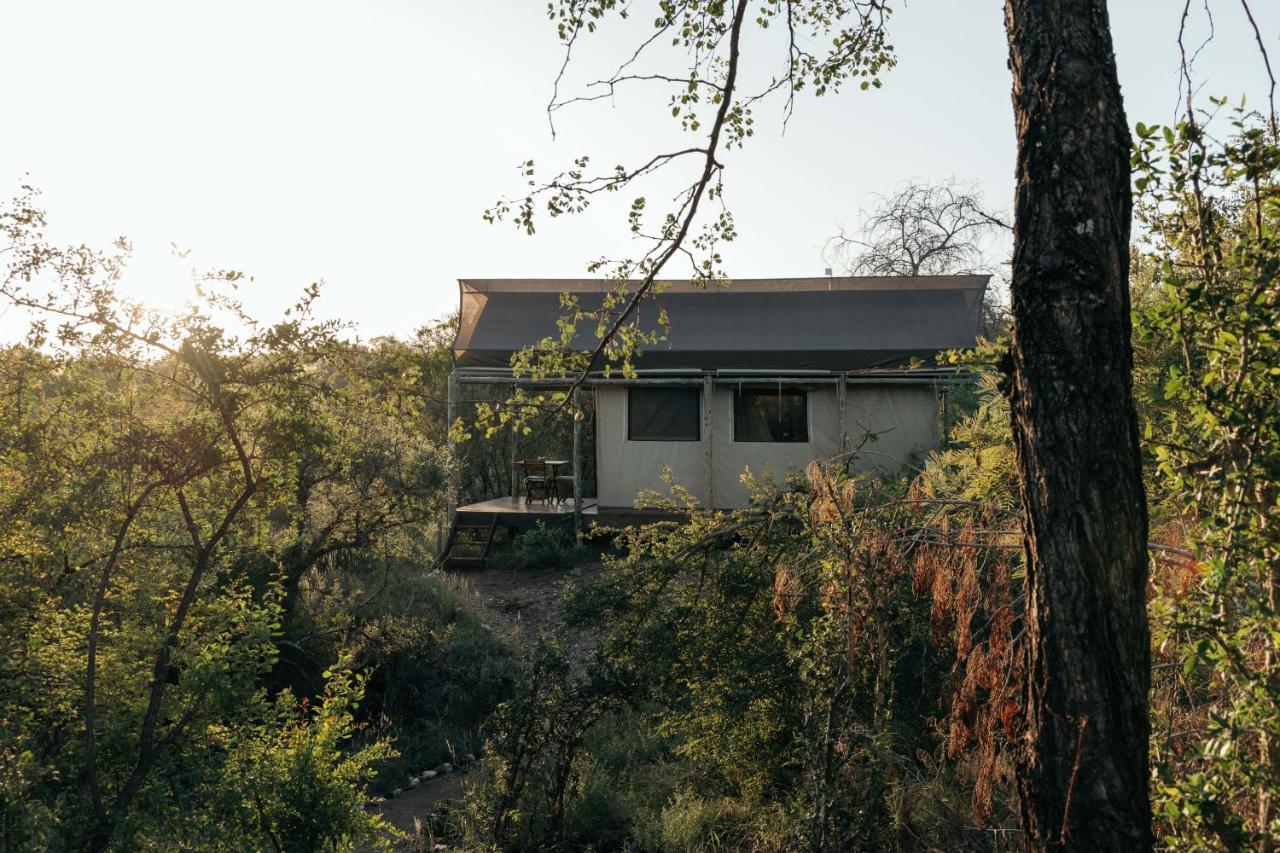 Isambane Camp Villa Balule Game Reserve Bagian luar foto