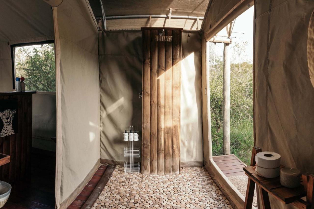 Isambane Camp Villa Balule Game Reserve Bagian luar foto
