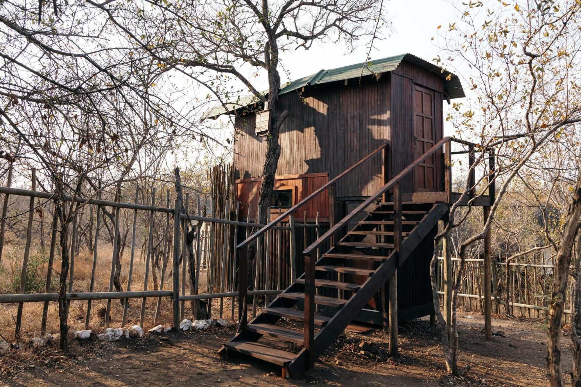 Isambane Camp Villa Balule Game Reserve Bagian luar foto
