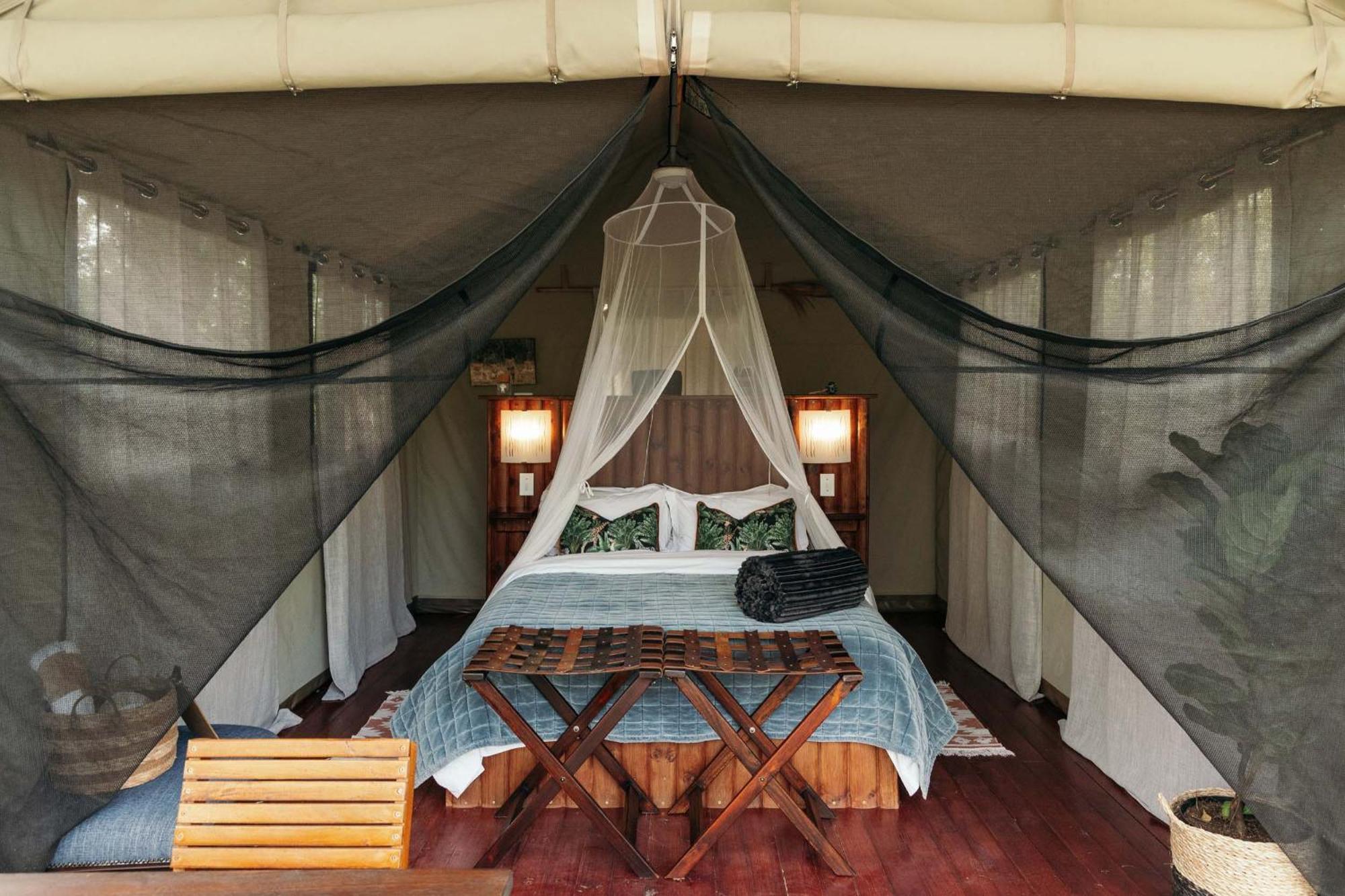 Isambane Camp Villa Balule Game Reserve Bagian luar foto