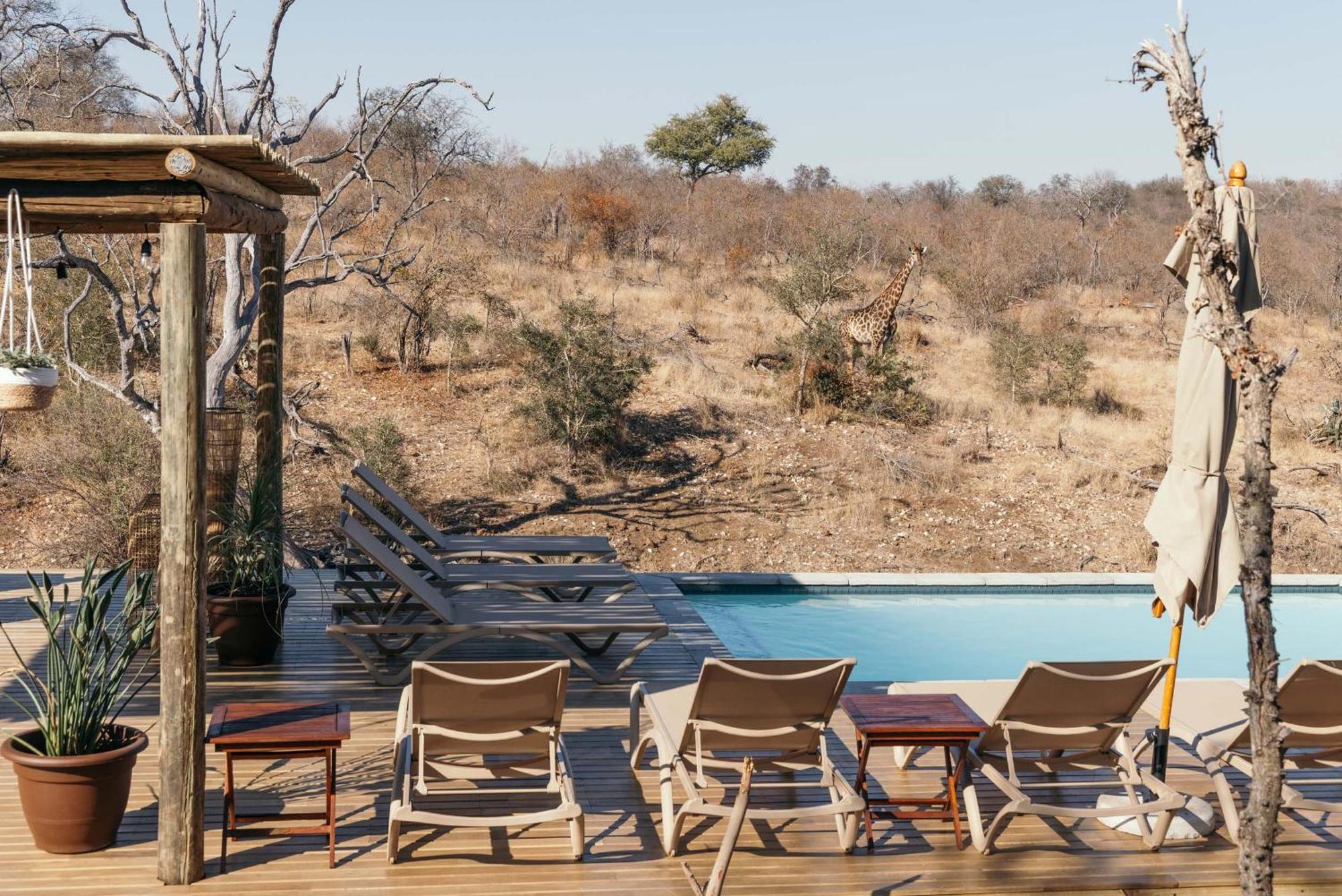 Isambane Camp Villa Balule Game Reserve Bagian luar foto
