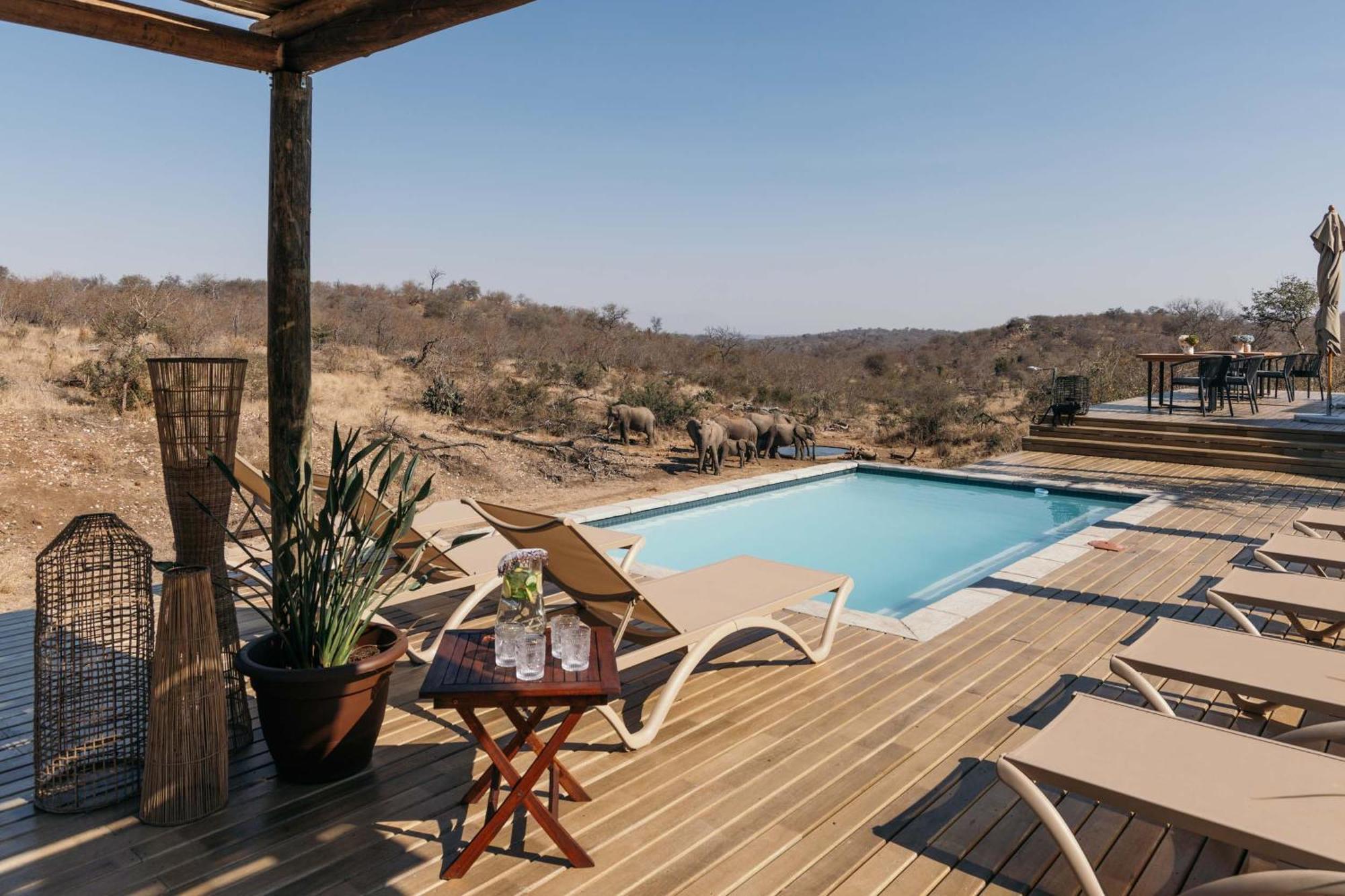 Isambane Camp Villa Balule Game Reserve Bagian luar foto